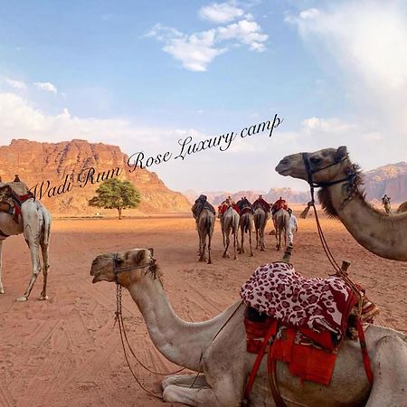 Wadi Rum Rose Luxury Camp Exterior photo