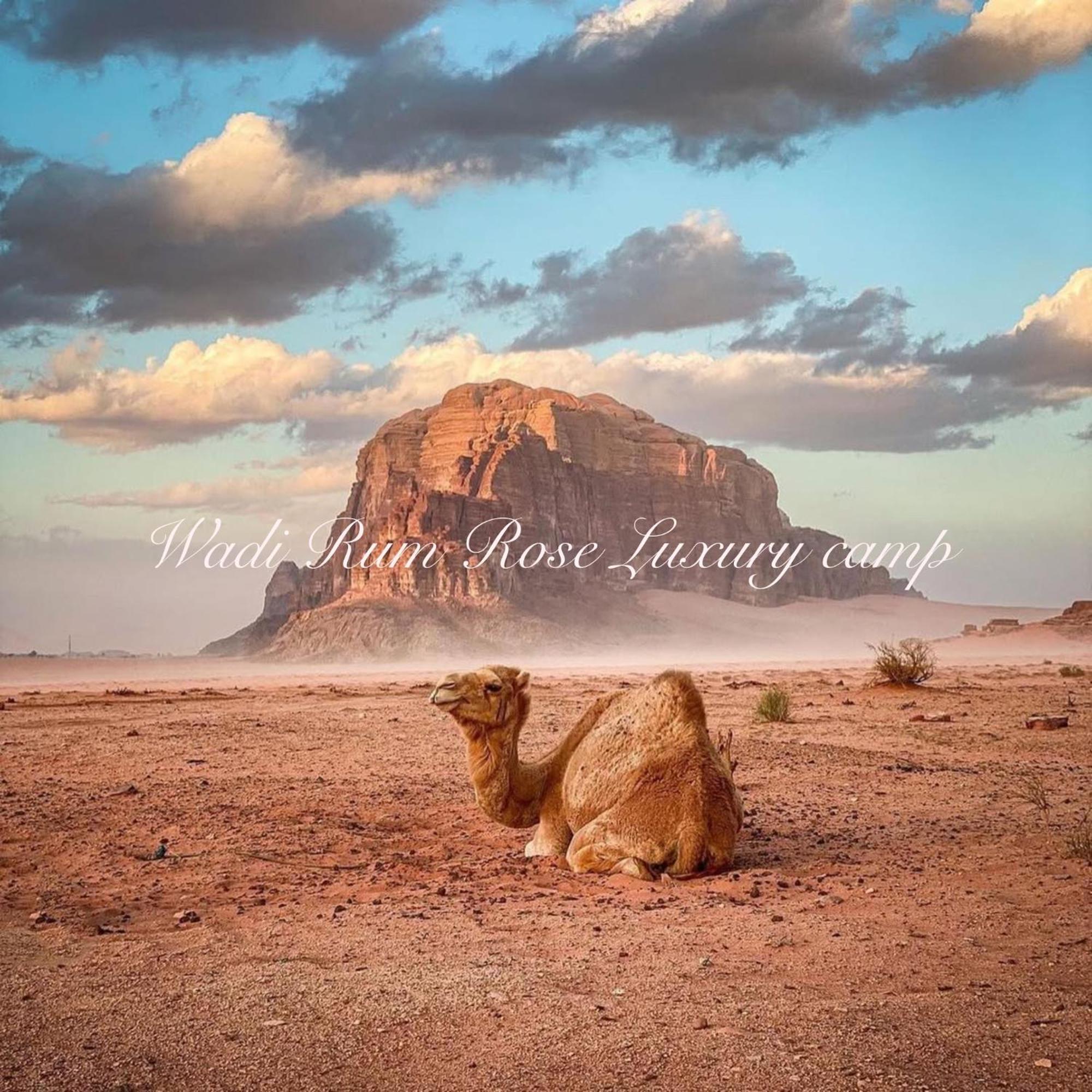 Wadi Rum Rose Luxury Camp Exterior photo