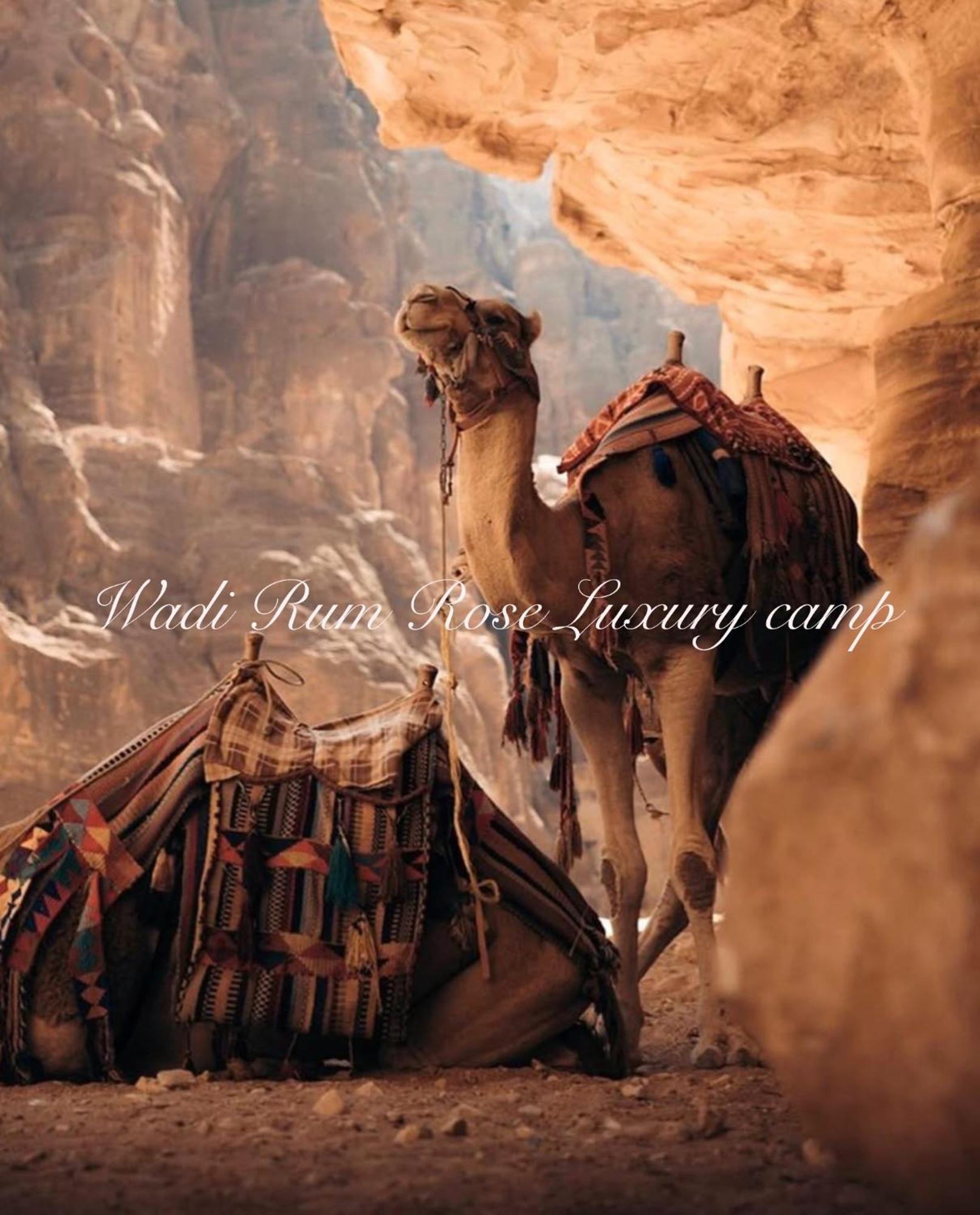 Wadi Rum Rose Luxury Camp Exterior photo